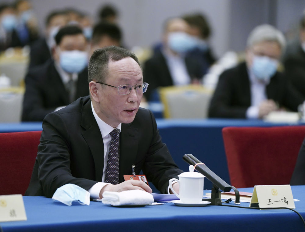5月23日，全國政協(xié)委員王一鳴在經濟界聯(lián)組會上發(fā)言。新華社記者　謝環(huán)馳　攝